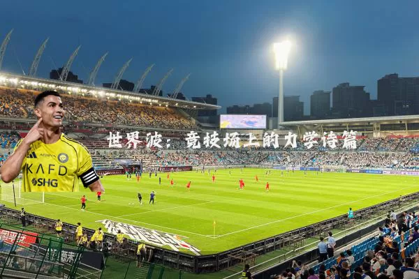 世界波：竞技场上的力学诗篇